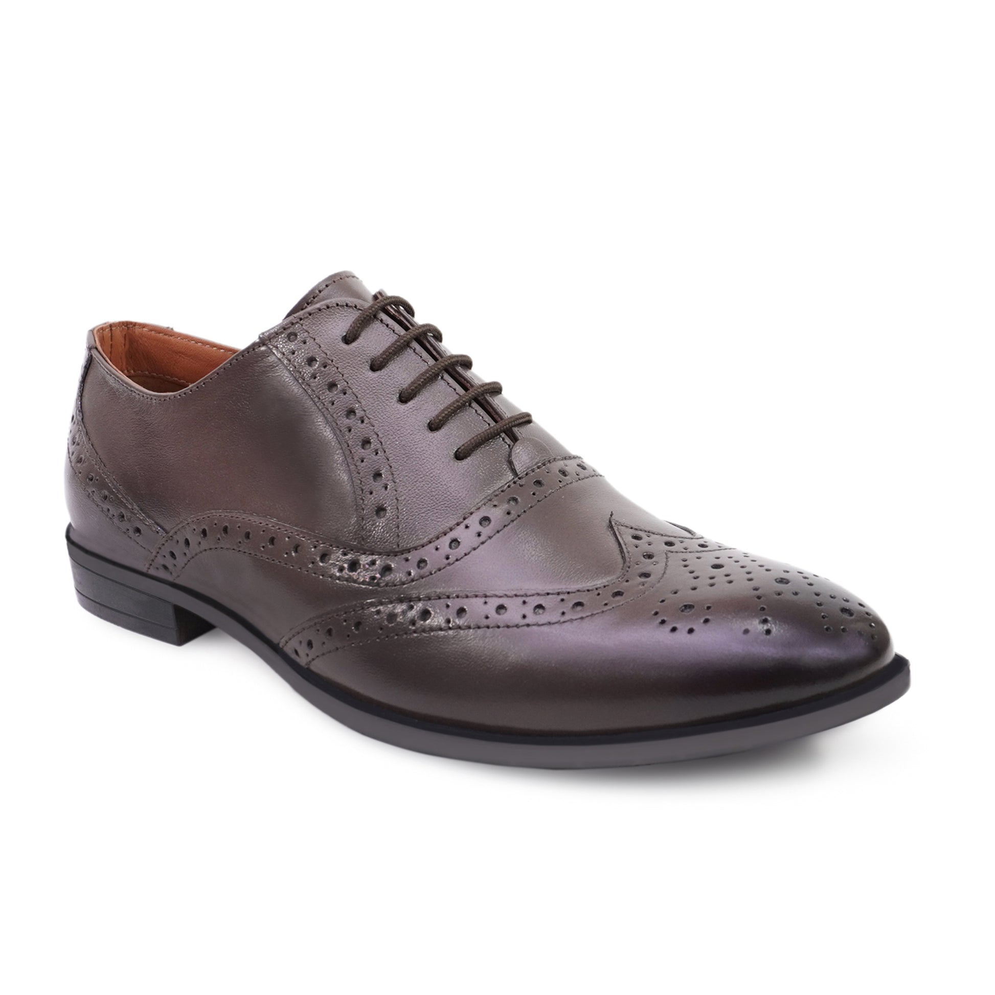 AX5 Brogue Shoes