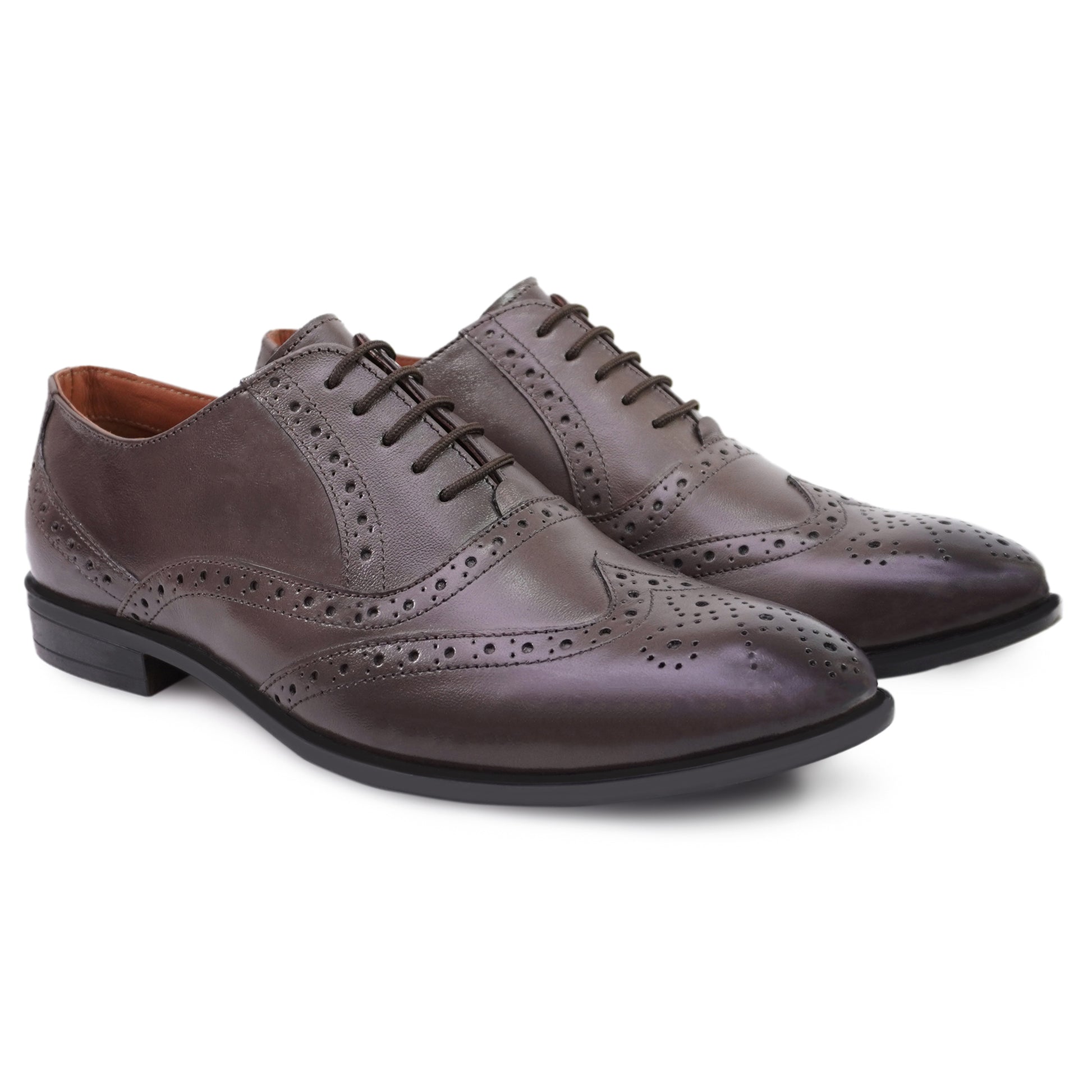 AX5 Brogue Shoes