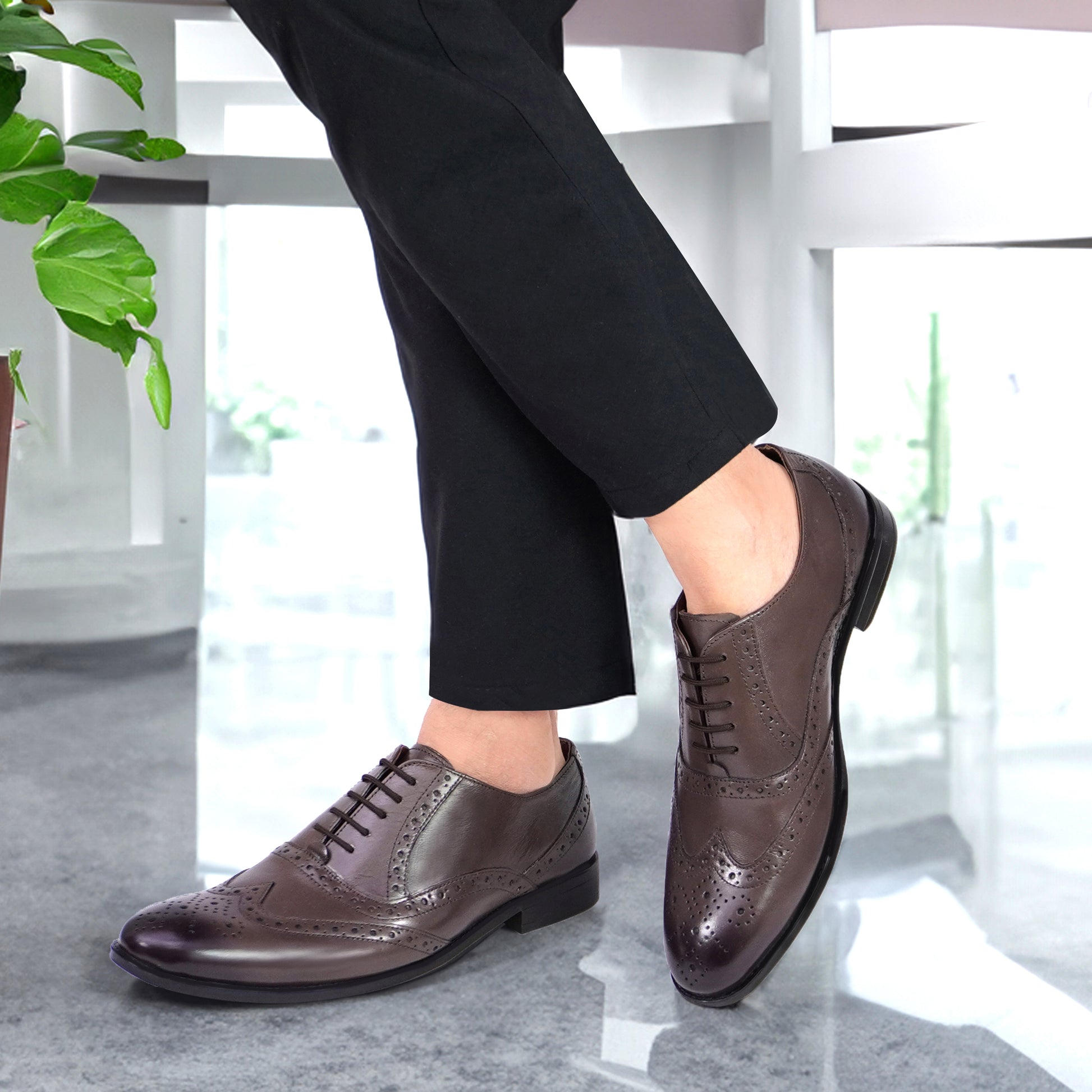 AX5 Brogue Shoes