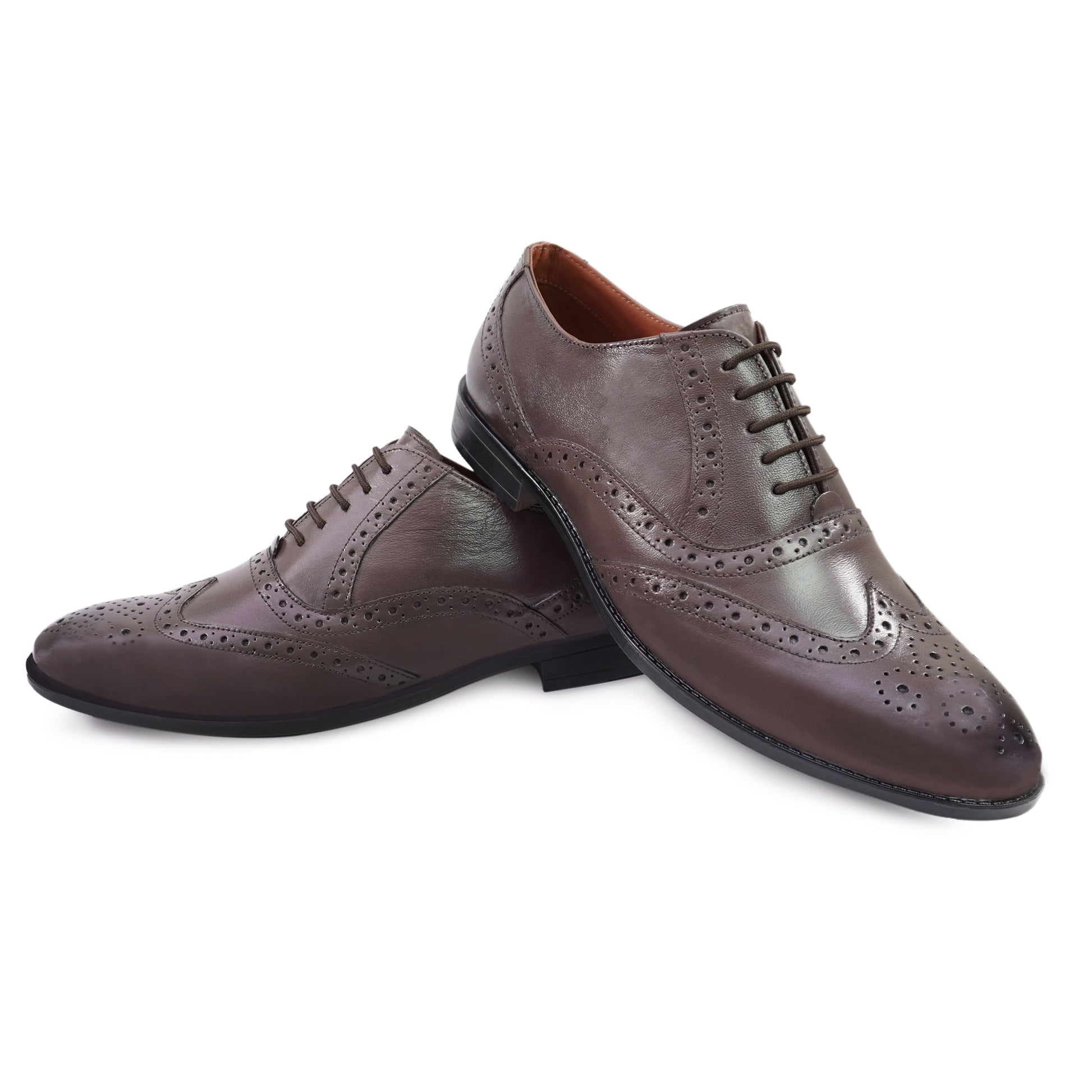 AX5 Brogue Shoes